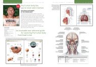 The human body like you've never seen it before ... - QA International