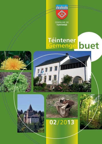 02/ 2013 Téintener Gemenge - Tuntange