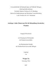 Autologer vitaler Hautersatz für die Behandlung chronischer Wunden