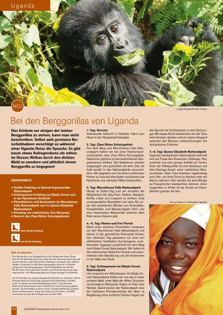 Bei den Berggorillas von Uganda - Globotrek