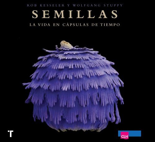 semillas la vida en cápsulas de tiempo - Clh.es