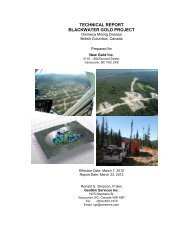 Blackwater Technical Report March 2012 - New Gold