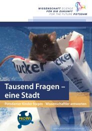 Tausend Fragen - eine Stadt .pdf - wis-potsdam.de