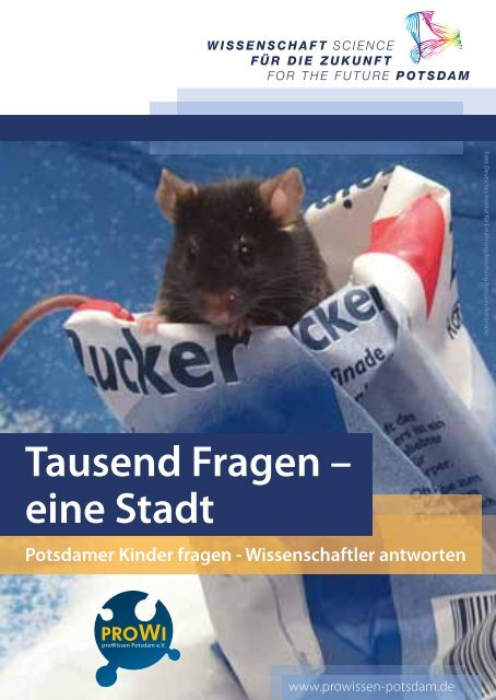 Tausend Fragen - eine Stadt .pdf - wis-potsdam.de