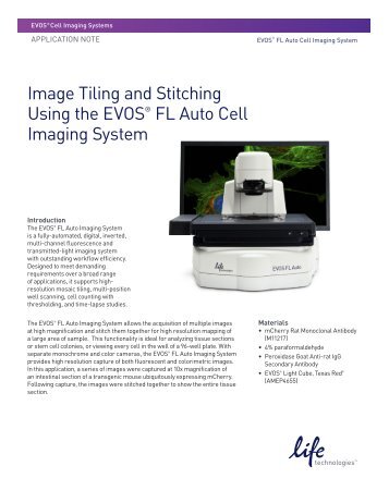 Image Tiling and Stitching Using the EVOS® FL ... - Life Technologies
