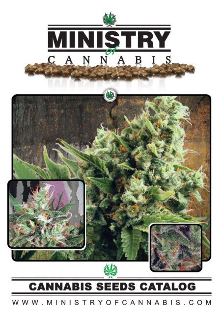 Download PDF Catalog - Cannabis Seeds