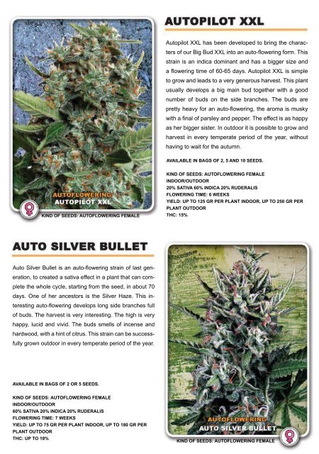 Download PDF Catalog - Cannabis Seeds