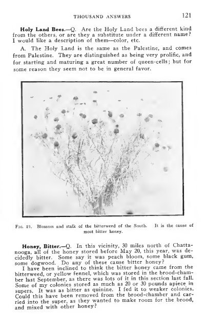 MillerThousand AnswersBeekeepingQuestions.pdf - BioBees