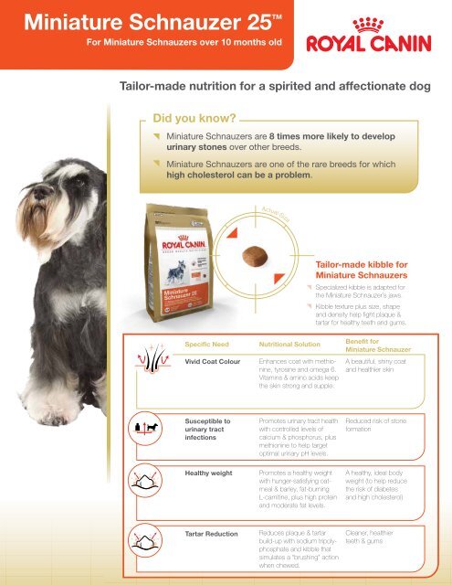 Royal canin shop schnauzer