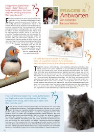 Freunde Magazin Winter 2013 S. 36 - Alles für Tiere