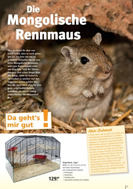 Freunde Magazin Winter 2013 S. 36 - Alles für Tiere