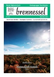 Brennessel - Bund Naturschutz in Bayern eV