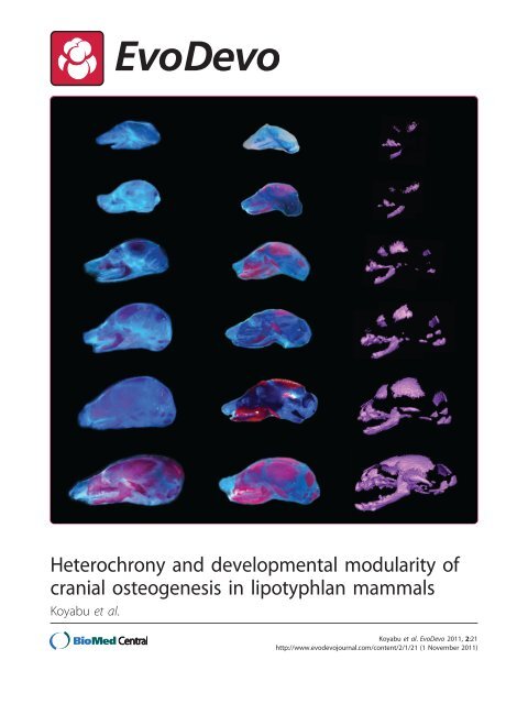 PDF - EvoDevo