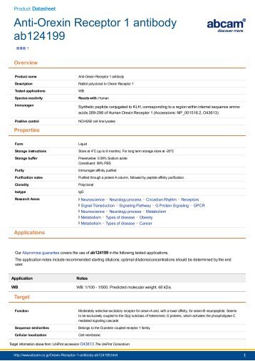 Anti-Orexin Receptor 1 antibody (ab124199) - Abcam