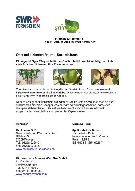 Obst Auf Kleinsten Raum Spalierbaume Swr Fernsehen