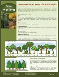 Amélioration du boisé lors des coupes