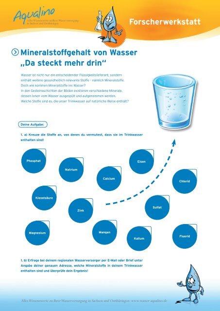 Forscherwerkstatt Mineralstoffgehalt von Wasser „Da steckt mehr drin“