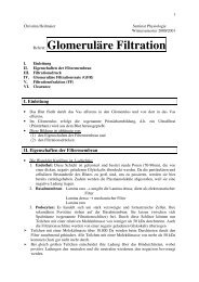 Referat: Glomeruläre Filtration