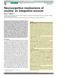 Neurocognitive mechanisms of anxiety - Affective Cognitive ...