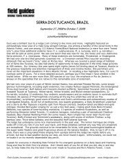 SERRA DOS TUCANOS, BRAZIL - Field Guides