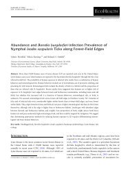 Abundance and Borrelia burgdorferi-infection Prevalence of ...