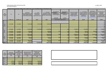 2010-08-02 EHA Jahresmeldung EEG 2009.pdf