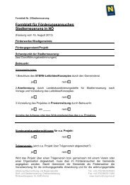 Formblatt Förderantrag - NÖ Raumordnung- und Regionalpolitik