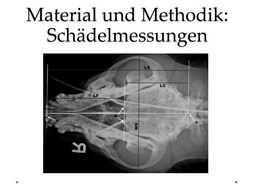 Veränderungen des Nasen-/ Gehirnschädelverhältnisses (S-Index ...