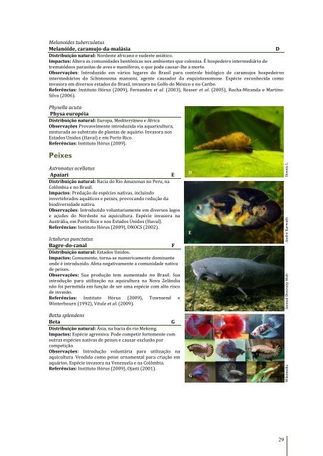 Espécies Exóticas Invasoras no Nordeste do Brasil - Cepan