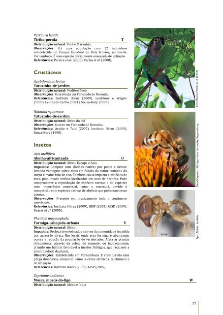 Espécies Exóticas Invasoras no Nordeste do Brasil - Cepan