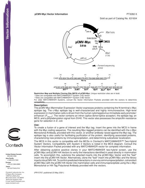 Vector Information