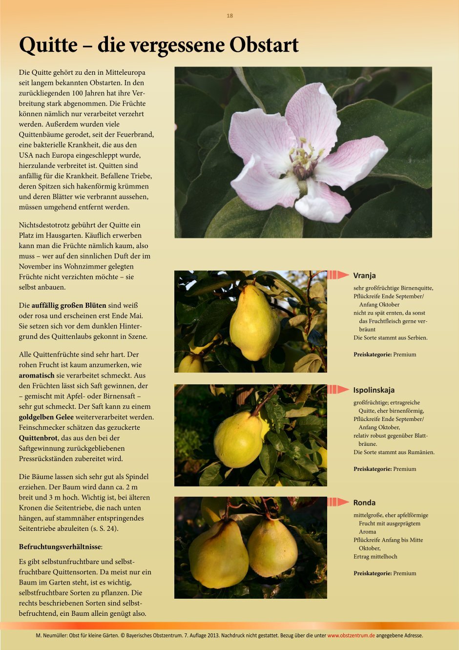 4 Free Magazines From Shop Obstzentrum De