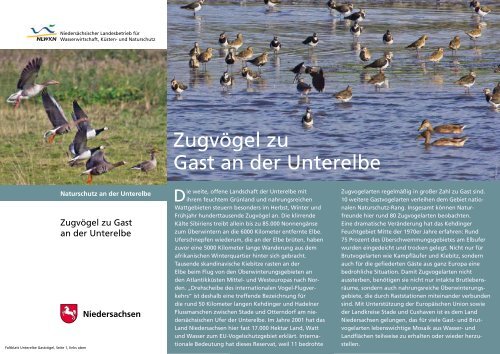 Faltblatt: "Zugvögel zu Gast an der Unterelbe" - Die ...
