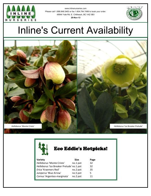 Inline's Current Availability - Inline Nurseries