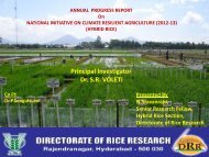 Principal Investigator Dr. S.R. VOLETI - Directorate of Rice Research