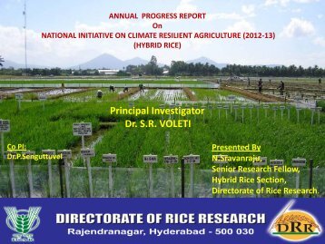 Principal Investigator Dr. S.R. VOLETI - Directorate of Rice Research