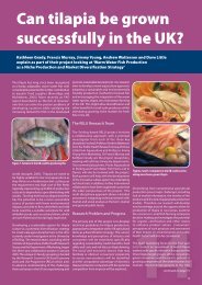 Tilapia in the UK: Kathleen Grady et al - Institute of Aquaculture ...