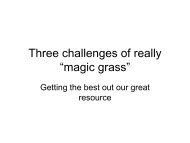 “magic grass” – Ian Sawyer - DairyTas