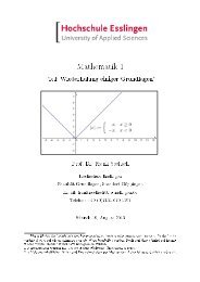 Grundlagen der höheren Mathematik - Hochschule Esslingen