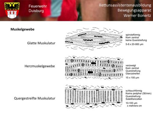 Bewegungsapparat - Bildung und Beratung für Gesundheits- u ...