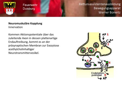 Bewegungsapparat - Bildung und Beratung für Gesundheits- u ...