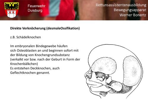 Bewegungsapparat - Bildung und Beratung für Gesundheits- u ...