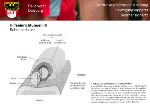 Bewegungsapparat - Bildung und Beratung für Gesundheits- u ...