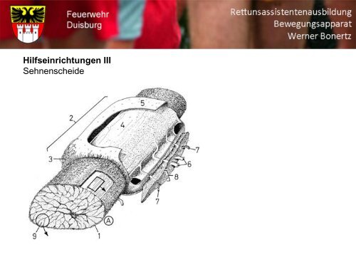 Bewegungsapparat - Bildung und Beratung für Gesundheits- u ...