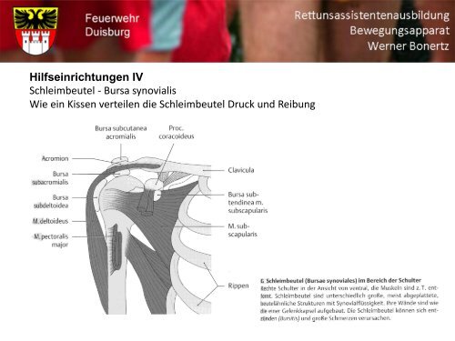 Bewegungsapparat - Bildung und Beratung für Gesundheits- u ...