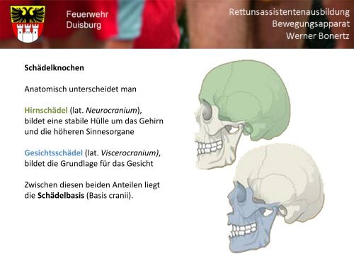 Bewegungsapparat - Bildung und Beratung für Gesundheits- u ...