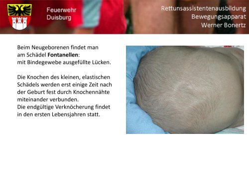 Bewegungsapparat - Bildung und Beratung für Gesundheits- u ...