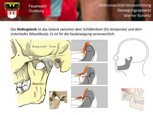 Bewegungsapparat - Bildung und Beratung für Gesundheits- u ...