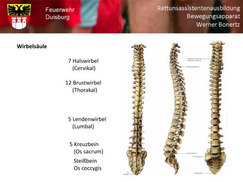 Bewegungsapparat - Bildung und Beratung für Gesundheits- u ...