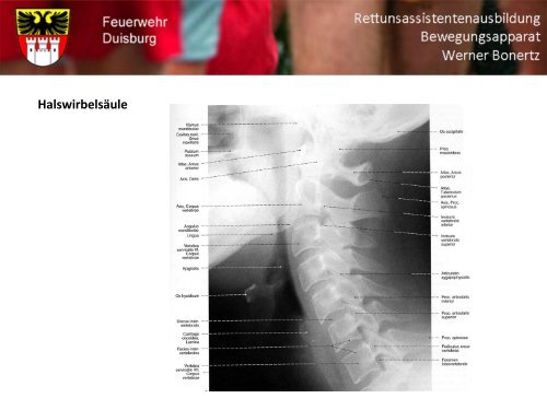 Bewegungsapparat - Bildung und Beratung für Gesundheits- u ...